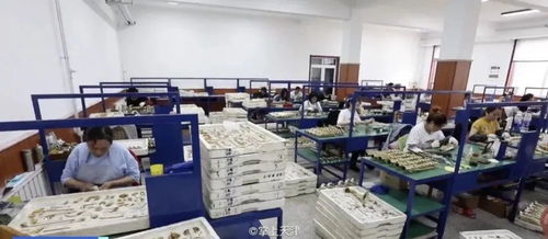 一年创收三亿！天津这个村庄的“网络技术”致富路